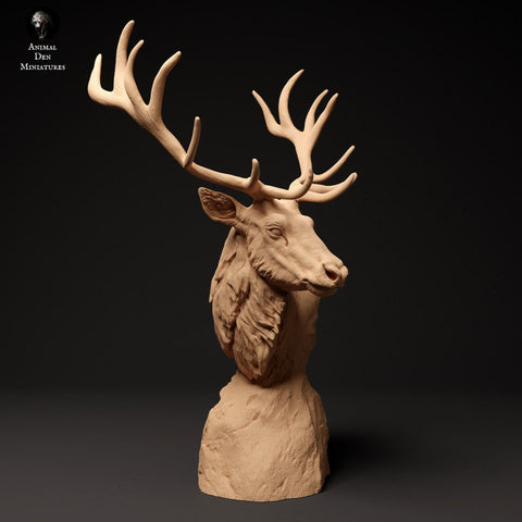 Red Deer Bust - Animal Den Miniatures