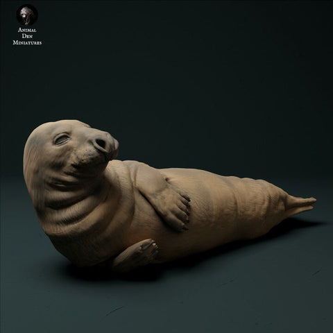 Grey Seal Male - UNPAINTED - Animal Den Miniatures