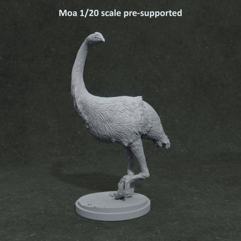 Moa Turning - UNPAINTED - Dino and Dog Miniatures