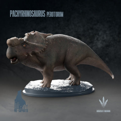 Pachyrhinosaurus perotorum - UNPAINTED - Miniature Museum
