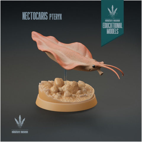 Nectocaris pteryx - UNPAINTED - Miniature Museum