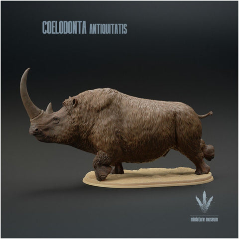 Coelodonta antiquitatis - UNPAINTED - Miniature Museum
