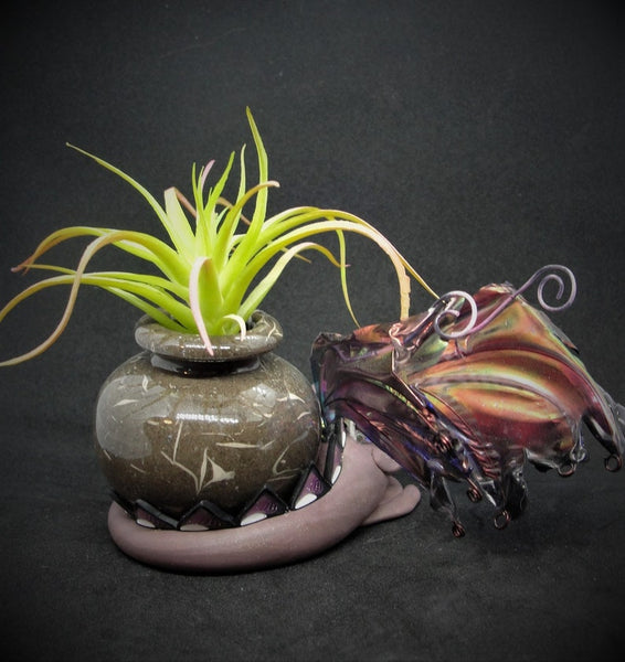 Plant and Vase Dragon