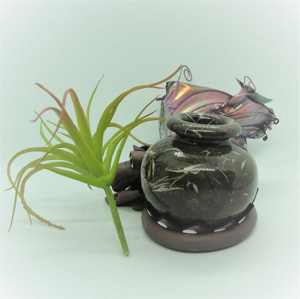 Plant and Vase Dragon