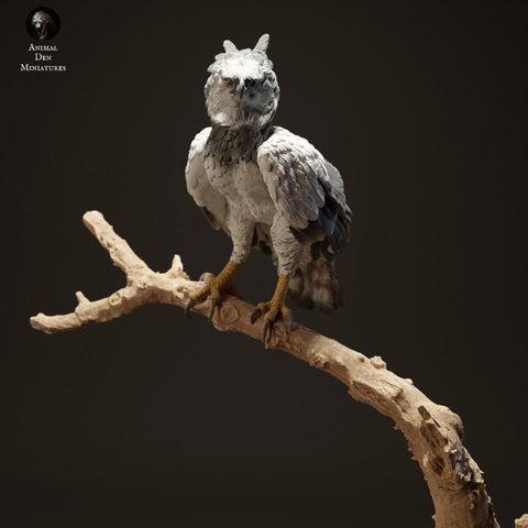 Harpy Eagle - UNPAINTED - Animal Den Miniatures