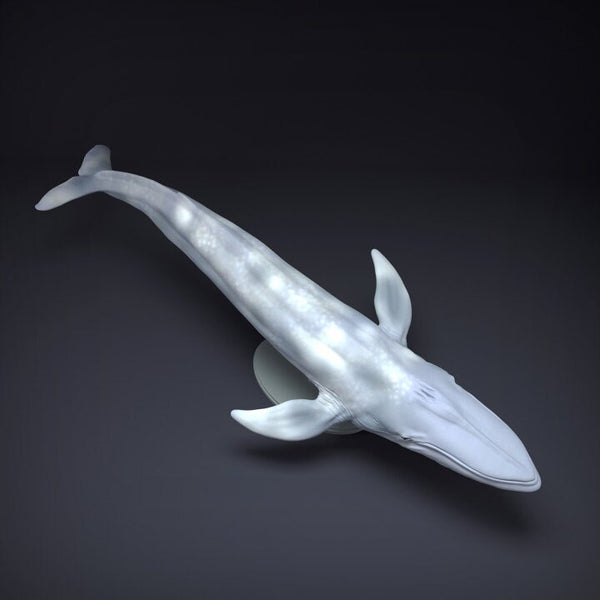 Blue Whale - UNPAINTED - Animal Den Miniatures