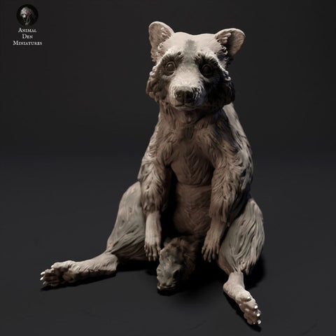Raccoon Sitting - UNPAINTED - Animal Den Miniatures