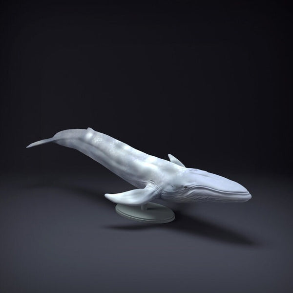 Blue Whale - UNPAINTED - Animal Den Miniatures