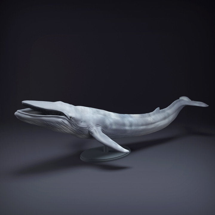 Blue Whale-Mouth Open - UNPAINTED - Animal Den Miniatures