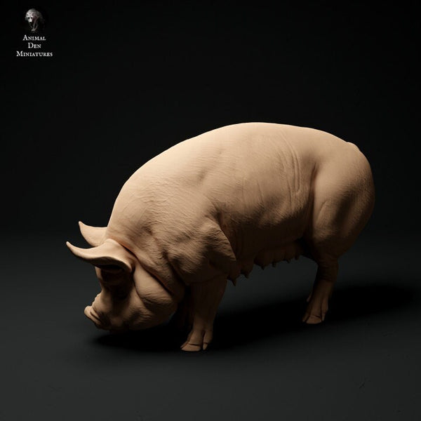 Berkshire Pig Grazing - UNPAINTED - Animal Den Miniatures