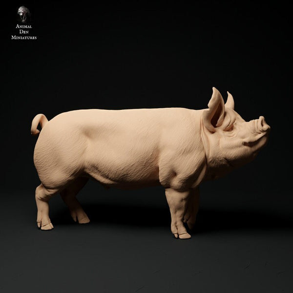 Berkshire Boar - UNPAINTED - Animal Den Miniatures