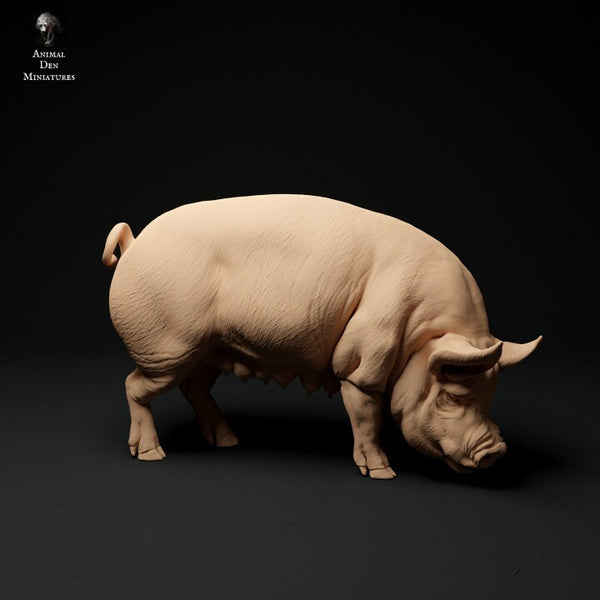 Berkshire Pig Grazing - UNPAINTED - Animal Den Miniatures